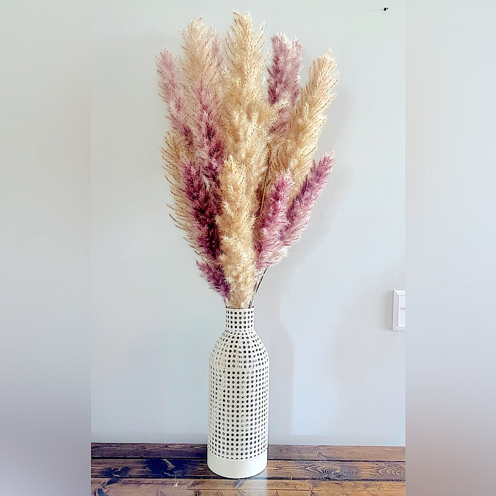 Pampas Grass Stems ✨🌾